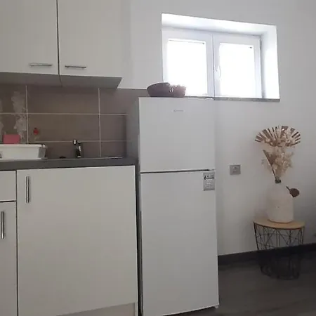 公寓 Rovinj Apartment Eni, Parking And Wifi Gratis 罗维尼